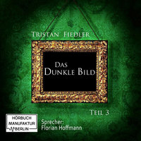 Das dunkle Bild: Band 3 - Tristan Fiedler