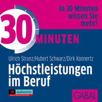 30 Minuten Höchstleistungen im Beruf - Ulrich Th. Strunz, Hubert Schwarz