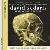 When You Are Engulfed In Flames - David Sedaris