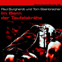 Im Bann der Teufelskrähe - Tom Steinbrecher, Paul Burghardt