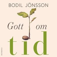 Gott om tid - Bodil Jönsson