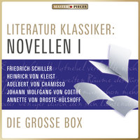 Literatur Klassiker: Novellen I: Die große Box - Diverse Autoren