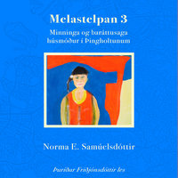 Melastelpan 3 – Minningar- og baráttusaga húsmóður í Þingholtunum - Norma E. Samúelsdóttir