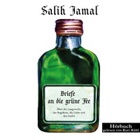 Briefe an die grüne Fee: Über die Langeweile, das Begehren, die Liebe und den Teufel. - Salih Jamal