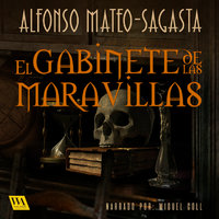 El gabinete de las maravillas - Alfonso Mateo-Sagasta