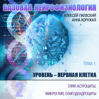 Глия: астроциты, микроглия, олигодендроциты - Анна Хоружая, Алексей Паевский