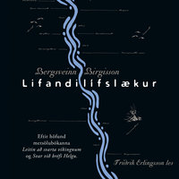 Lifandilífslækur - Bergsveinn Birgisson