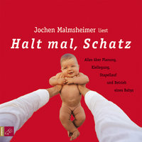 Halt mal, Schatz: Alles über Planung, Kiellegung, Stapellauf und Betrieb eines Babys - Jochen Malmsheimer