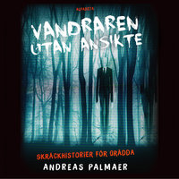 Vandraren utan ansikte - Andreas Palmaer