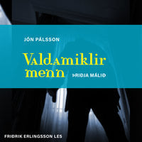 Valdamiklir menn: Þriðja málið - Jón Pálsson