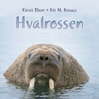 Hvalrossen - Kirsti Blom, Kit M. Kovacs