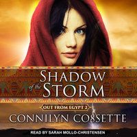 Shadow of the Storm - Connilyn Cossette
