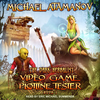 Video Game Plotline Tester - Michael Atamanov