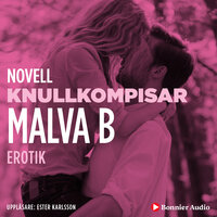 Knullkompisar : en novell ur Begär - Malva B.