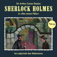 Im Labyrinth des Wahnsinns - Sir Arthur Conan Doyle, Andreas Masuth