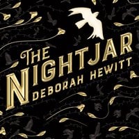 The Nightjar - Deborah Hewitt