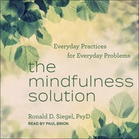 The Mindfulness Solution: Everyday Practices for Everyday Problems - Ronald D. Siegel, PsyD