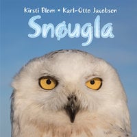 Snøugla - Karl-Otto Jacobsen, Kirsti Blom