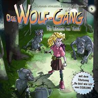 Die Wolf-Gäng: Die Rückkehr der Trolle - Wolfgang Hohlbein, Katrin Wiegand, Rebecca Hohlbein, Jana Groß