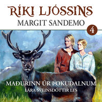 Maðurinn úr Þokudalnum - Margit Sandemo