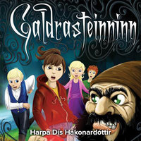 Galdrasteinninn - Harpa Dís Hákonardóttir