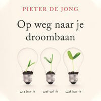 Op weg naar je droombaan - Pieter de Jong