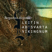 Leitin að svarta víkingnum - Bergsveinn Birgisson