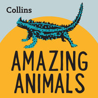 Amazing Animals - Various
