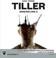 Innsirkling 3 - Carl Frode Tiller