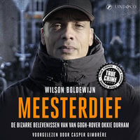 Meesterdief - Wilson Boldewijn