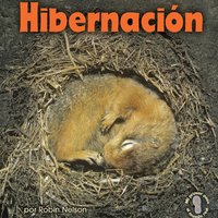 Hibernación (Hibernation) - Robin Nelson