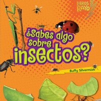 ¿Sabes algo sobre insectos? (Do You Know about Insects?) - Buffy Silverman