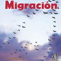 Migración (Migration) - Robin Nelson