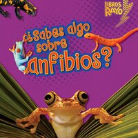 ¿Sabes algo sobre anfibios? (Do You Know about Amphibians?) - Buffy Silverman
