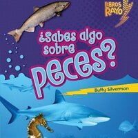¿Sabes algo sobre peces? (Do You Know about Fish?) - Buffy Silverman