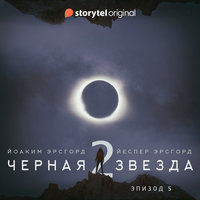 Серия 5 - Сезон 2 - ЧЕРНАЯ ЗВЕЗДА - "Ночная погоня"
