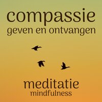 Compassie Geven en Ontvangen: Mindfulness Meditatie - Suzan van der Goes