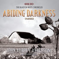 Abiding Darkness: A Novel - John Aubrey Anderson
