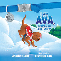 I am Ava, Seeker in the Snow - Catherine Stier