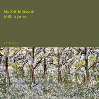 Milli trjánna - Gyrðir Elíasson