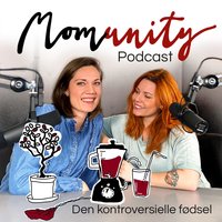 Momunity - Den kontroversielle fødsel - Sara R. Hamann, Sine Christensen