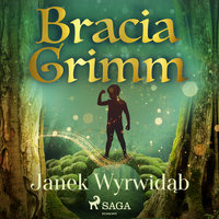 Janek Wyrwidąb - Bracia Grimm