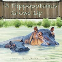 A Hippopotamus Grows Up - Anastasia Suen