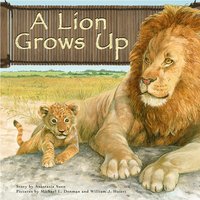 A Lion Grows Up - Anastasia Suen