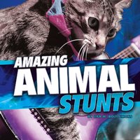 Amazing Animal Stunts - Lisa Simons