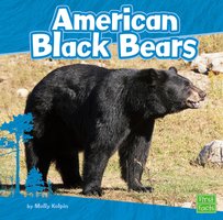 American Black Bears - Molly Kolpin