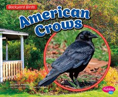 American Crows - Lisa Amstutz