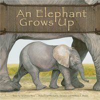 An Elephant Grows Up - Anastasia Suen