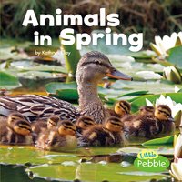 Animals in Spring - Kathryn Clay