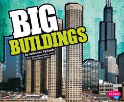 BIG Buildings - Catherine Ipcizade